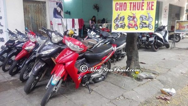 Thuê xe máy giá rẻ ở Đà Lạt: Thuê xe máy ở đâu Đà Lạt an toàn, chất lượng