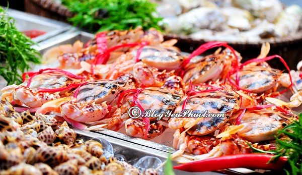 Ăn hải san ở đâu ngon rẻ tại Đà Nẵng?