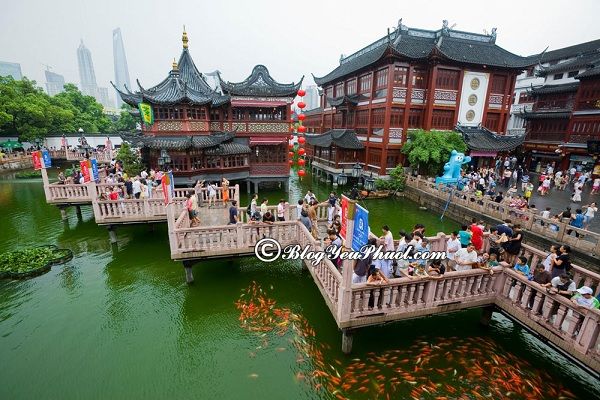 Du lịch Thượng Hải nên đi đâu chơi? Danh lam thắng cảnh nổi tiếng ở Thượng Hải