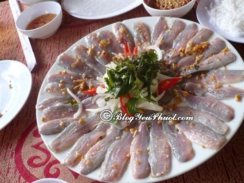 Gỏi cá Trích – Món ăn hấp dẫn du khách ở Phú Quốc, danh sách những món ngon đặc sản truyền thống,dân dã ở Phú Quốc