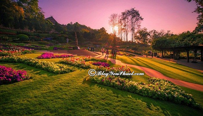 Kinh nghiệm du lịch Chiang Rai
