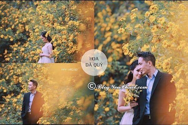 Đi đâu chụp ảnh cưới đẹp tại Mộc Châu? Du lịch Mộc Châu đi đâu chụp hình cưới?
