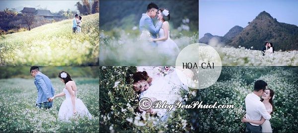 Đồng cải Mộc Châu - điểm chụp hình cưới đẹp ở Mộc Châu: Chụp ảnh cưới ở đâu Mộc Châu đẹp, ấn tượng nhất?