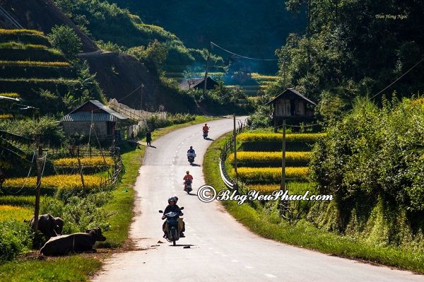 Đường đi từ Hà Nội đến Mùa Cang Chải bằng xe máy: Nên đi đường nào từ Hà Nội tới Mù Cang Chải du lịch?