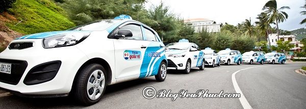 Du lịch Đà Lạt bằng taxi an toàn: Các loại phương tiện đi du lịch ở Đà Lạt nhanh, thuận tiện