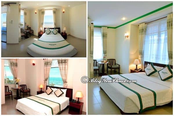 Dịch vụ của Green Hotel Vung Tau? Review phòng ốc, tiện nghi, nội thất, thiết kế của khách sạn Green Vũng Tàu