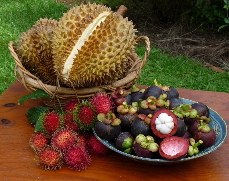 Các món ăn đặc sản Bình Dương nổi tiếng
