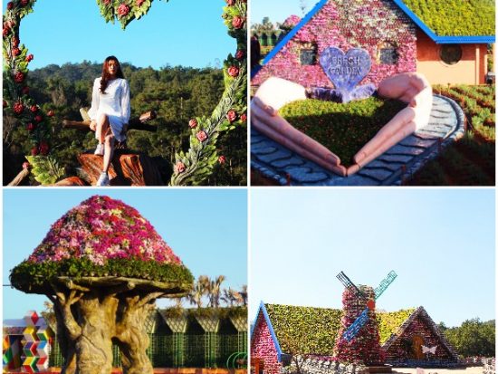 Review khu du lịch Fresh Đà Lạt chi tiết. Khu du lịch Fresh Đà Lạt ở đâu, có gì?