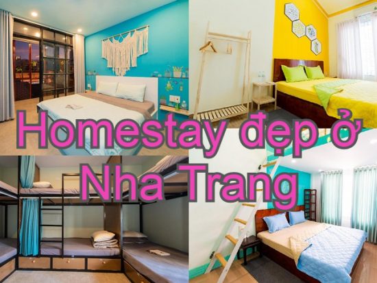 Homestay giá rẻ, gần biển Nha Trang. Nên ở homestay nào Nha Trang? Megi Homestay